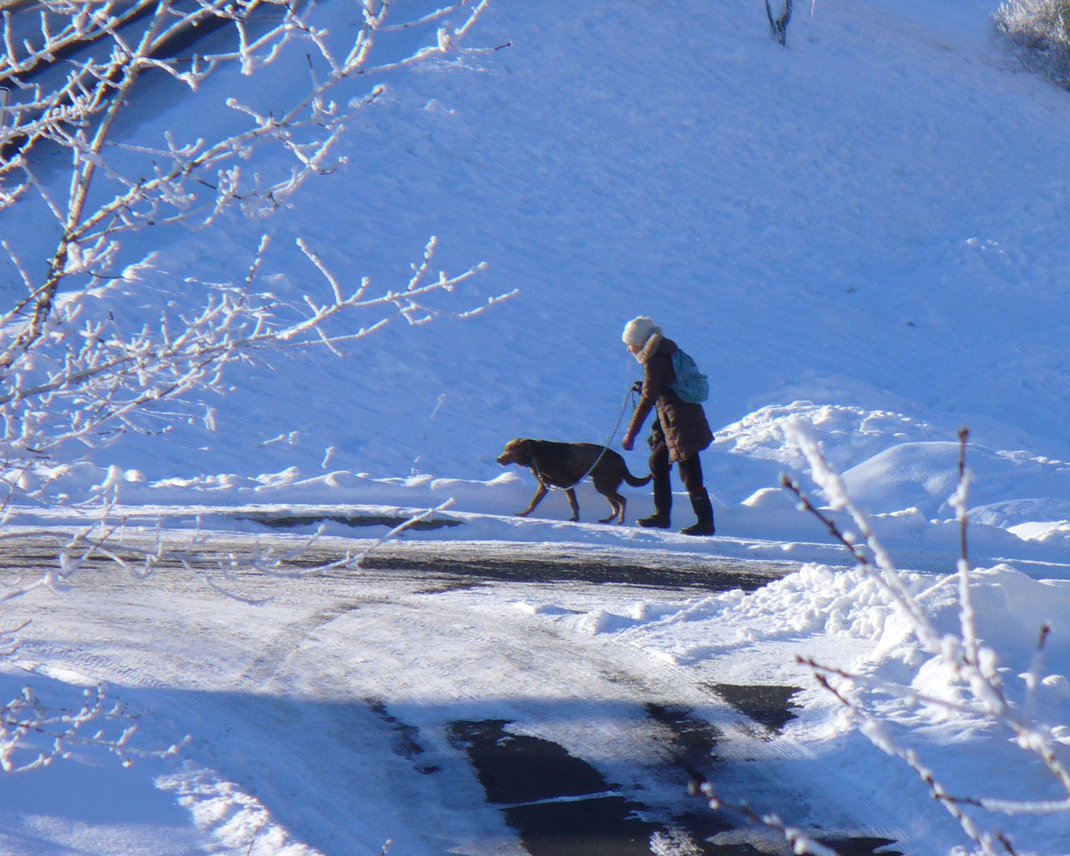 Walker with dog in snow by Susan Fluegel